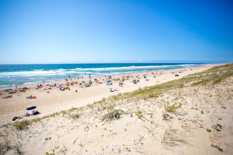 Avis du camping Naturiste Arnaoutchot 3  title=