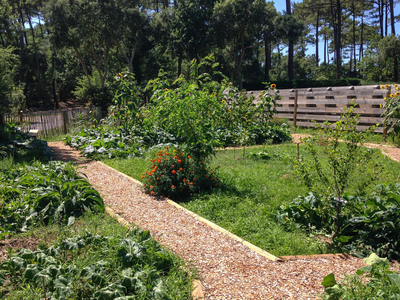 Jardin potager, chemins de gravier, plantes au camping LIBRANOO Naturiste Arnaoutchot, Landes.