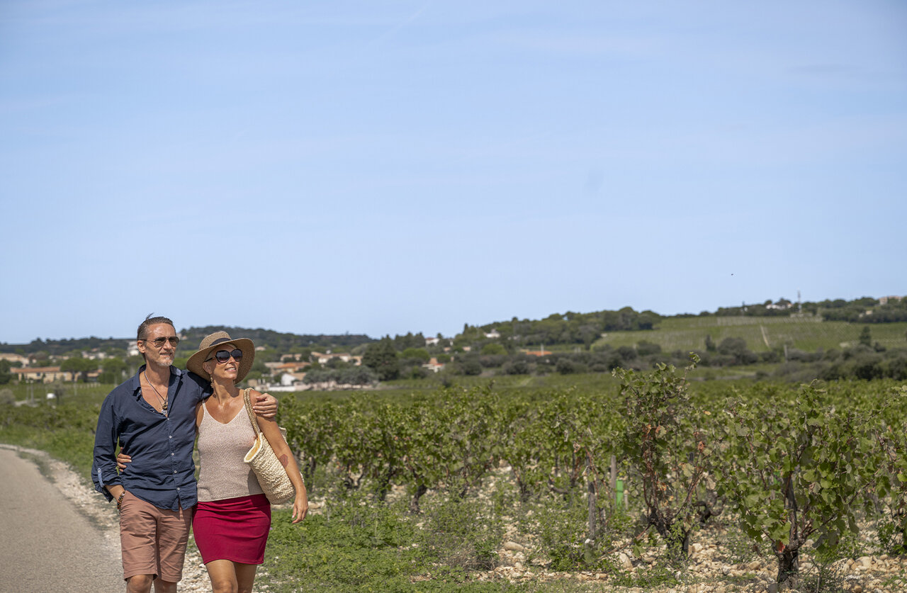 Couple en promenade dans les vignes, paysage ensoleill� au camping CLICOCHIC Art de Vivre � Ch�teauneuf du Pape.