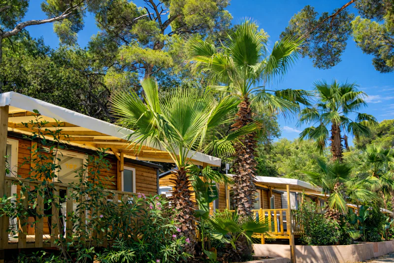 Mobile homes en bois, palmiers, terrasses au camping CLICOCHIC Baie de Cavalaire.