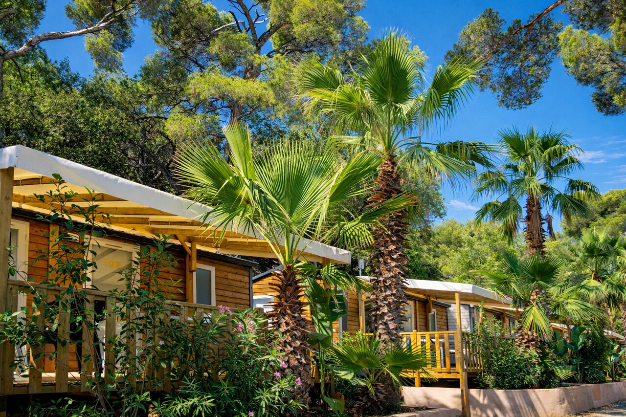 Mobile homes en bois, palmiers, terrasses au camping CLICOCHIC Baie de Cavalaire.