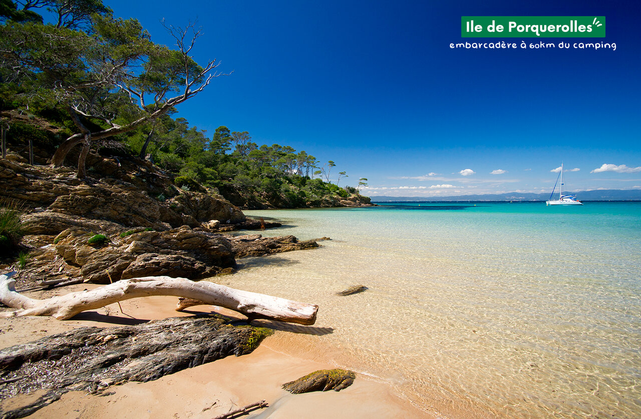 Plage idyllique de l'�le de Porquerolles, Var, eaux cristallines et sable dor�.
