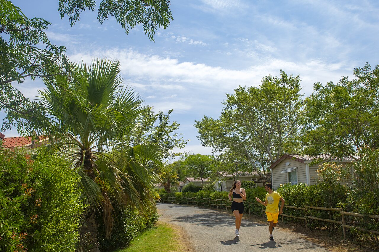 Jogging sur all�e verdoyante avec mobile-homes au camping CAPFUN Barbacane � NARBONNE (11).