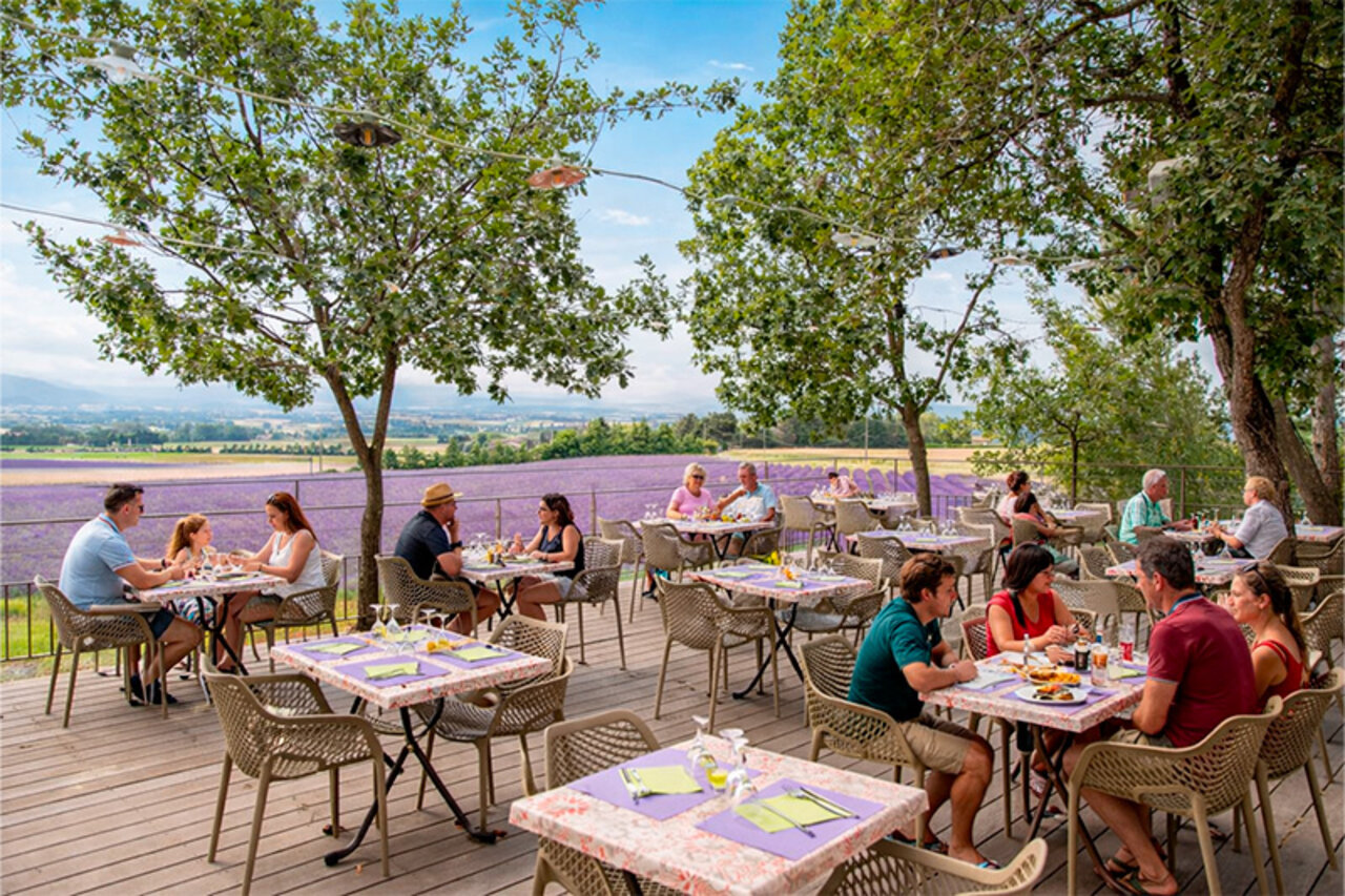 Restaurant terrasse ombrag�e, vue champs lavande, camping CLICOCHIC Bastets Marsanne.
