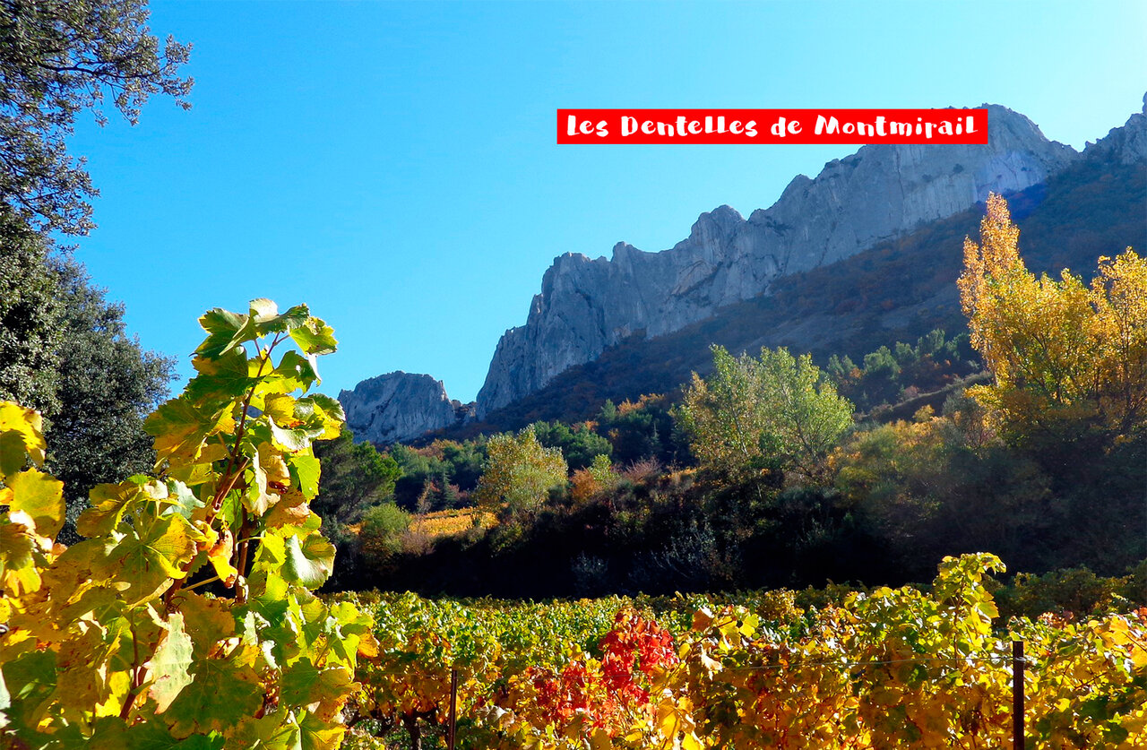 Les Dentelles de Montmirail et vignobles en automne, pr�s de MORNAS.