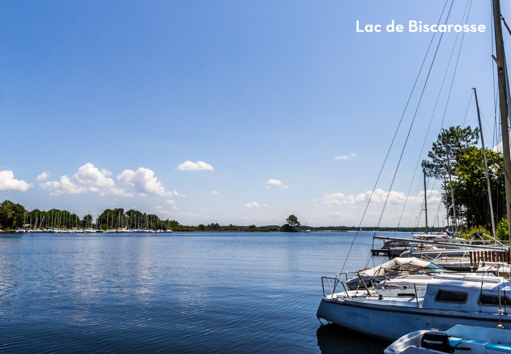 Bimbo, Camping Aquitaine - 10