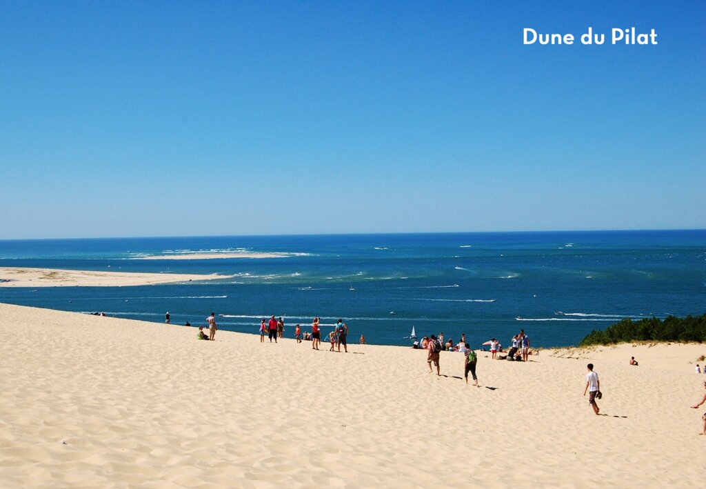 Bimbo, Camping Aquitaine - 15