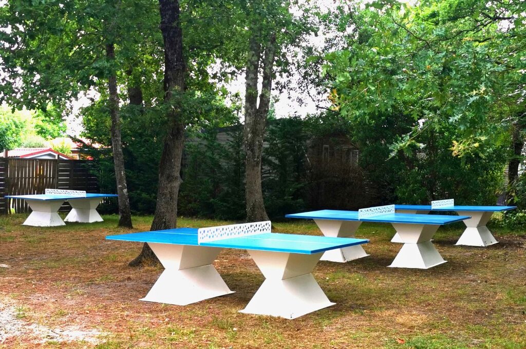 Bimbo, Camping Aquitaine - 22