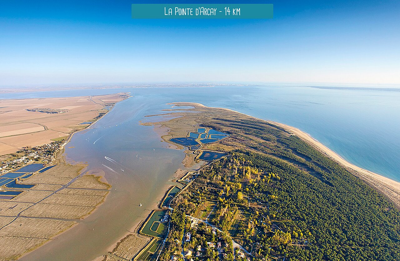 Pointe d'Arcay, presqu'�le naturelle pr�serv�e � visiter pr�s de La Tranche-sur-Mer.