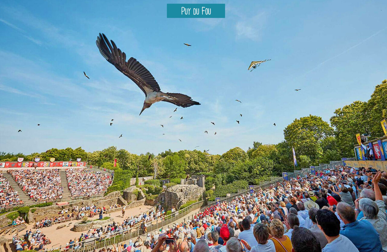 Spectacle de rapaces en vol au parc historique du Puy du Fou en Vend�e.