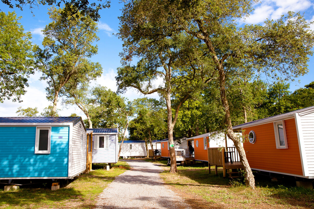 Mobile homes color�s, all�e ombrag�e au camping VAGUES OCEANES Boudigau � LABENNE OCEAN (40).