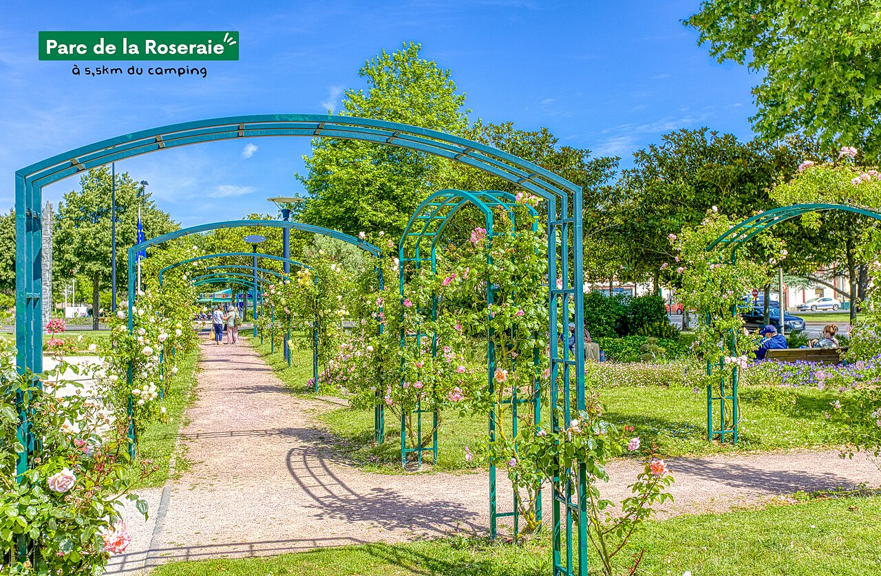 All�e fleurie avec arches de roses au Parc de la Roseraie, proche du camping.