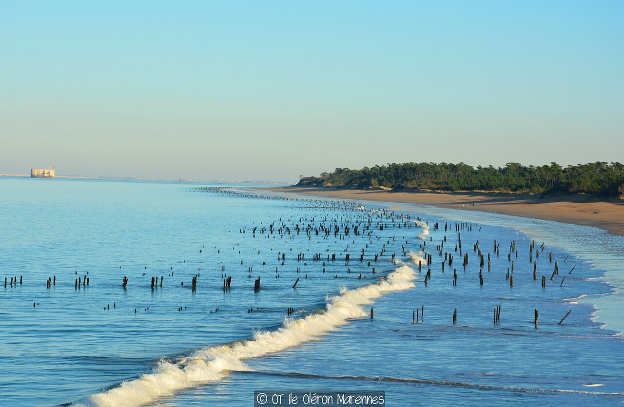 Plage de sable, pieux en mer au camping CLICOCHIC Cabanes d Ol�ron � ST GEORGES D'OLERON (17).