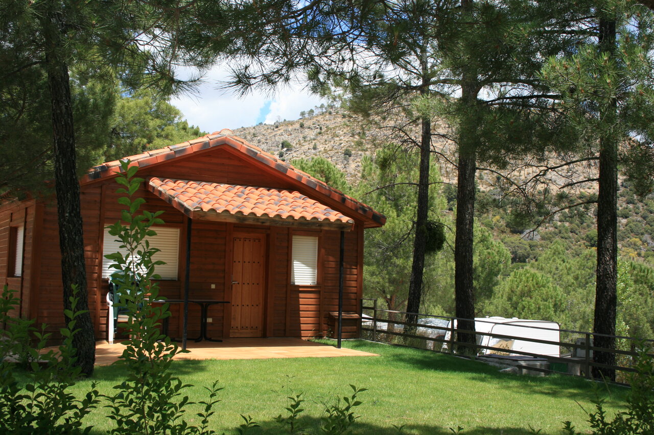 Chalet en bois, terrasse, pelouse, pins, au CAPFUN El Canto La Gallina Valdemaqueda (Madrid).