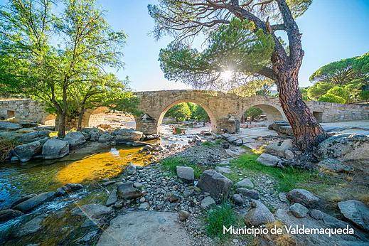 Camping El Canto La Gallina, Camping Communauté de Madrid Camping El Canto La Gallina, Camping Communauté de Madrid