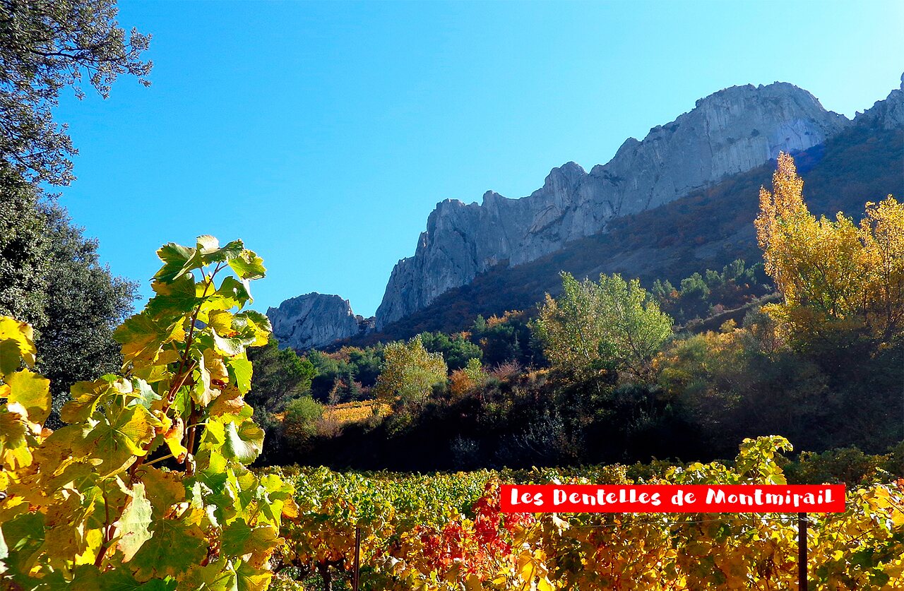 Dentelles de Montmirail, paysage rocheux et vignobles color�s pr�s de Vaison la Romaine.