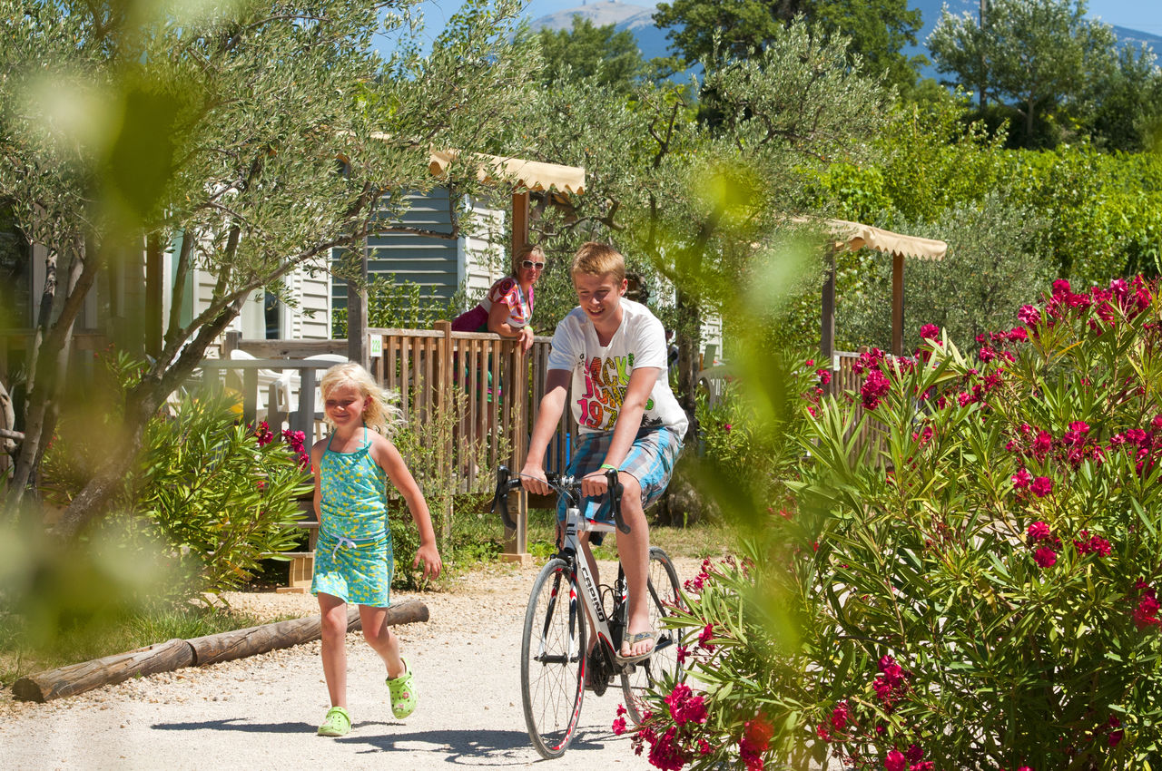 Enfants � v�lo et course au camping CAPFUN Carpe Diem � VAISON LA ROMAINE.