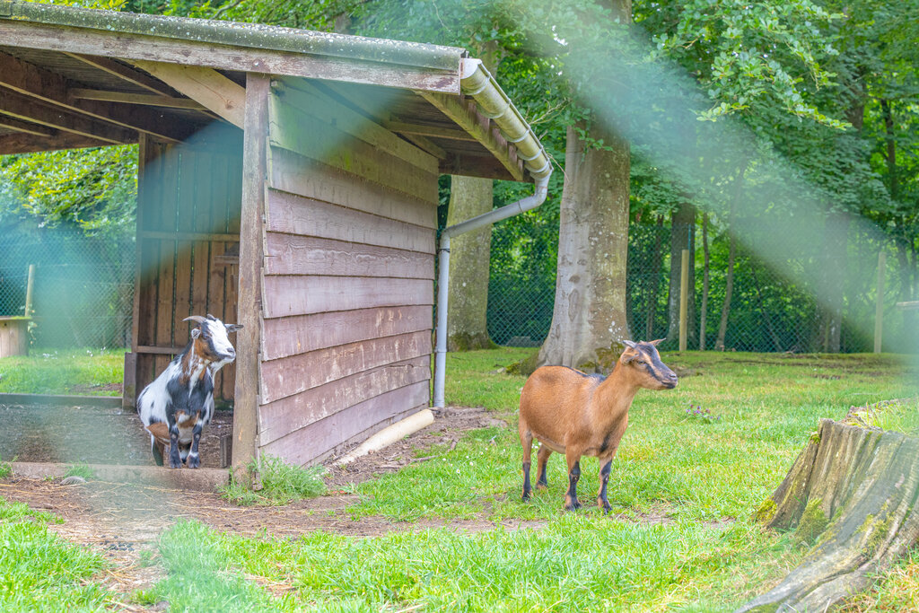 Chteau de Galine, Camping Bretagne - 23