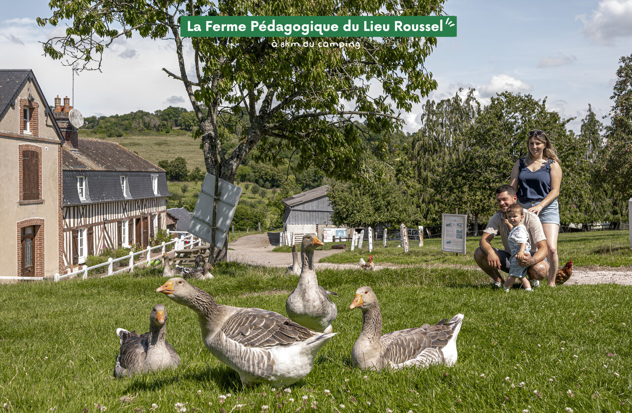 Famille d�couvrant la Ferme P�dagogique du Lieu Roussel, une attraction proche du camping.