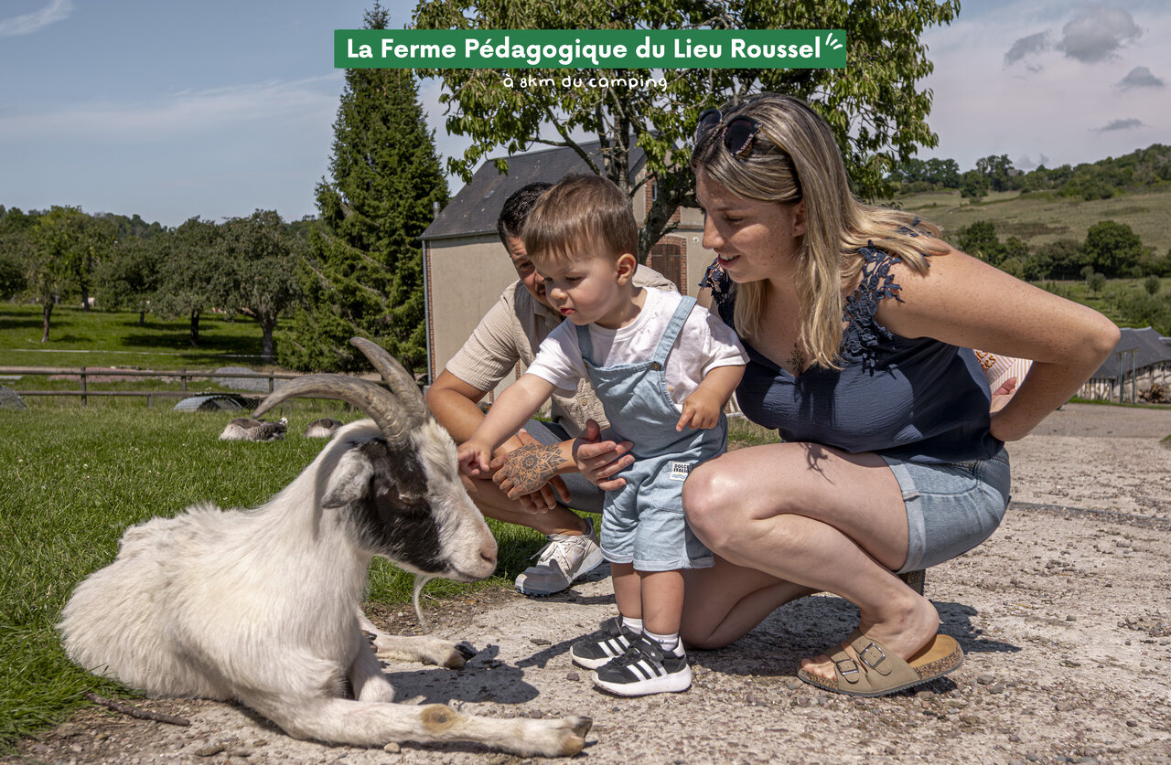 Famille caressant une ch�vre � la Ferme P�dagogique du Lieu Roussel, Normandie.