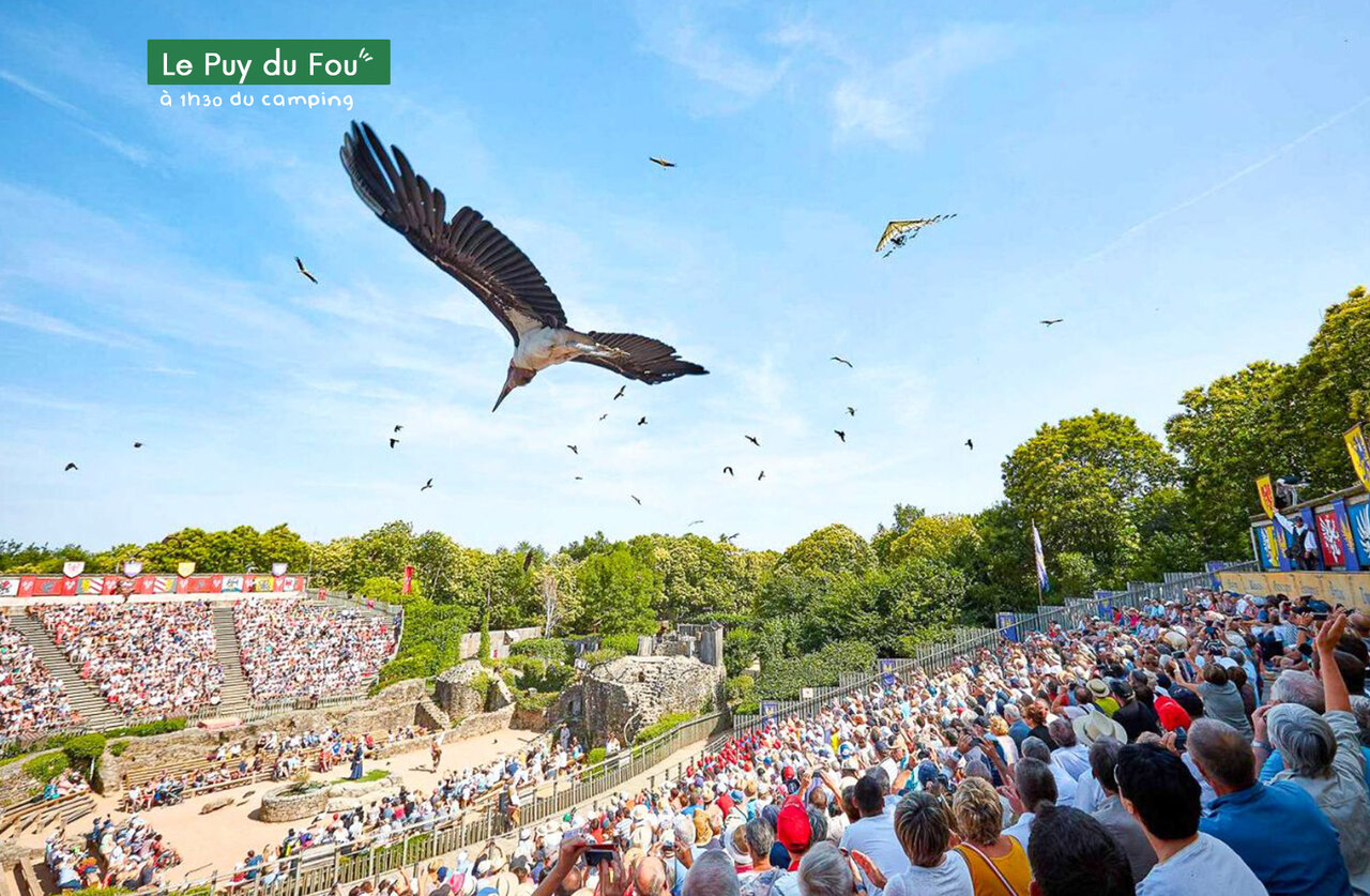 Spectacle d'oiseaux au Puy du Fou, parc � th�me historique en Vend�e.