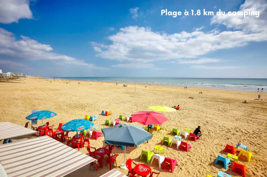 Les Chouans, Camping Pays de la Loire - 3