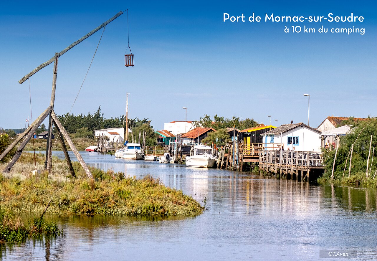 Port de Mornac-sur-Seudre, village typique avec cabanes ostr�icoles et bateaux.