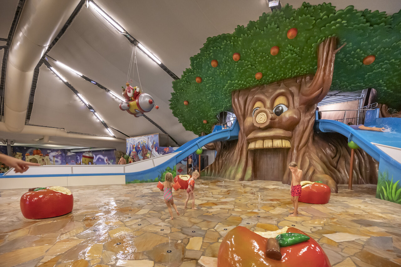 Piscine int�rieure ludique, toboggan arbre et jeux d'eau au CAPFUN De Bongerd.