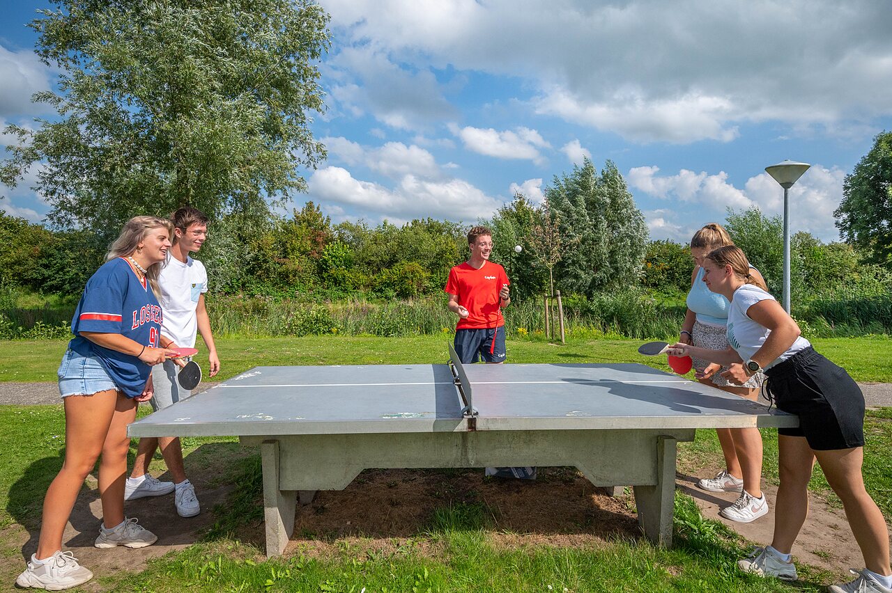 Famille sur pont en bois, mobile-homes, verdure au camping CAPFUN De Rotonde � Enspijk.