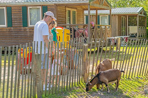 Mini-ferme avec chèvres et famille au camping CAPFUN Dune Fleurie à Quend Plage.