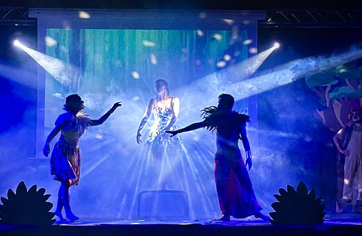 Spectacle d'animation avec artistes sur sc�ne au camping VAGUES OCEANES Elys�e.