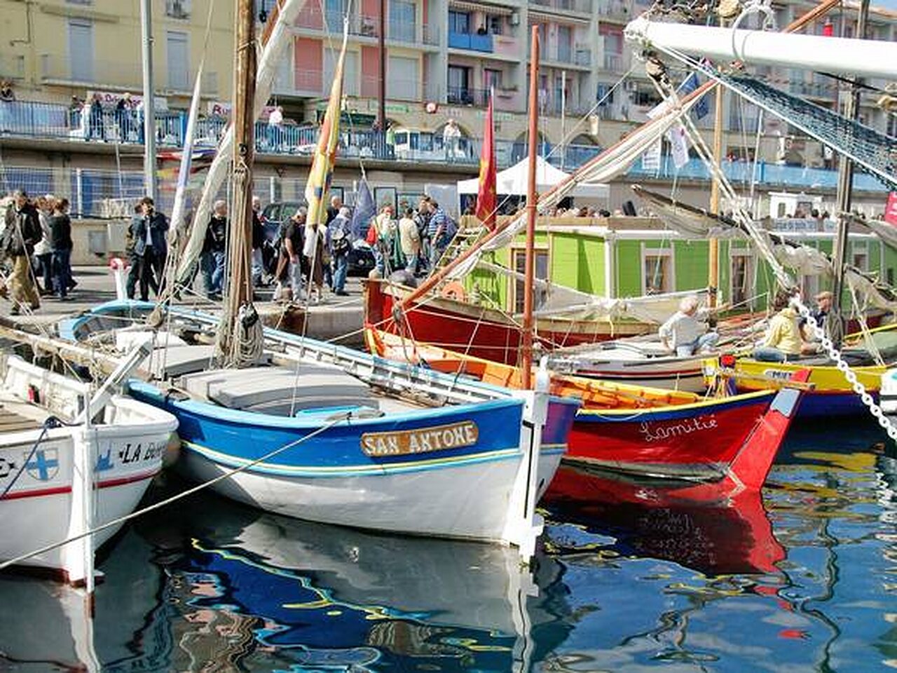 Bateaux traditionnels color�s amarr�s dans un port anim�, au camping CAPFUN Emeraude � Portiragnes (34).