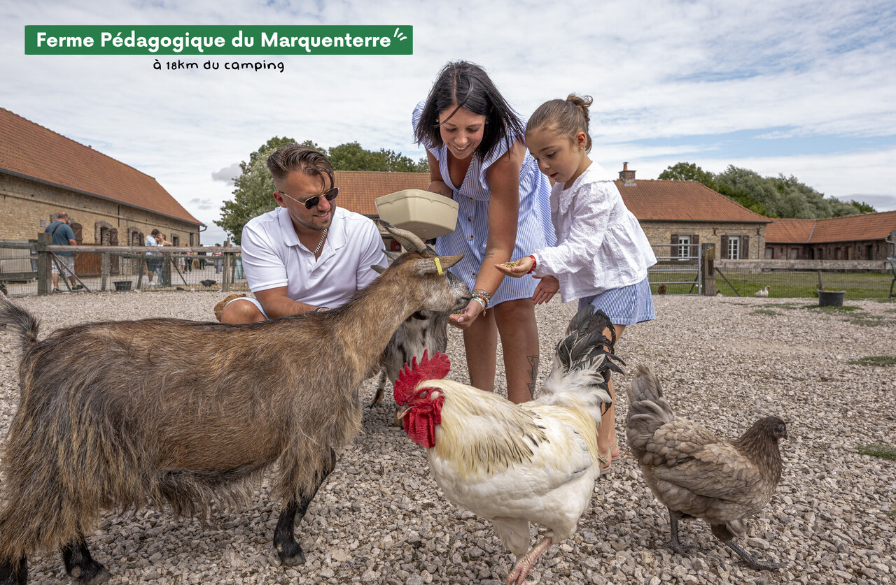 Famille nourrissant ch�vres et poulets � la Ferme P�dagogique du Marquenterre.