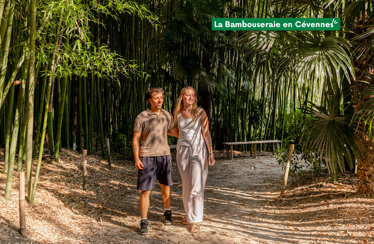 La Bambouseraie en C�vennes, jardin exotique � visiter pr�s du camping.