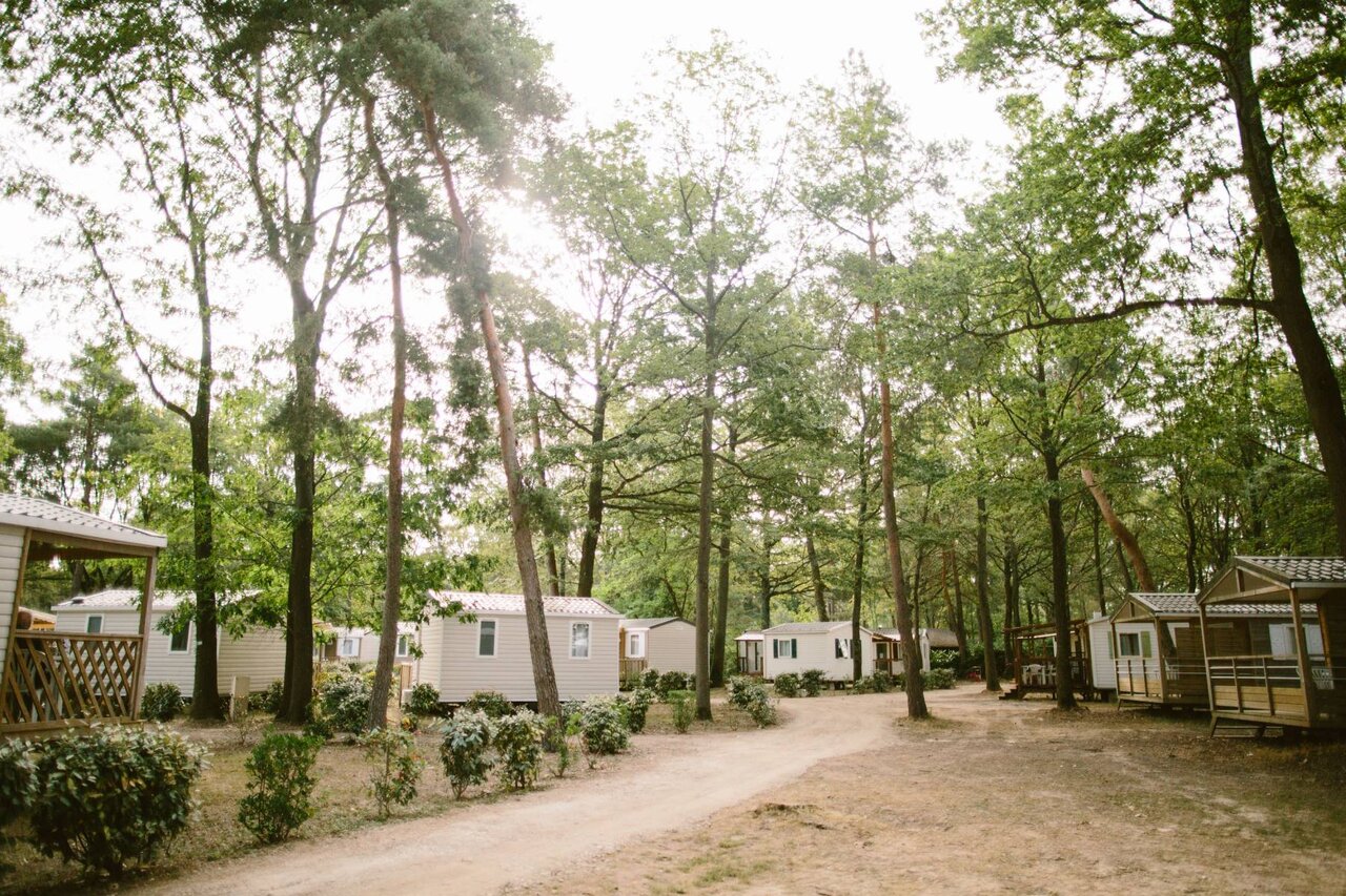 Mobil-homes modernes sous les arbres, chemin au camping CLICOCHIC La For�t d'Azal�e.