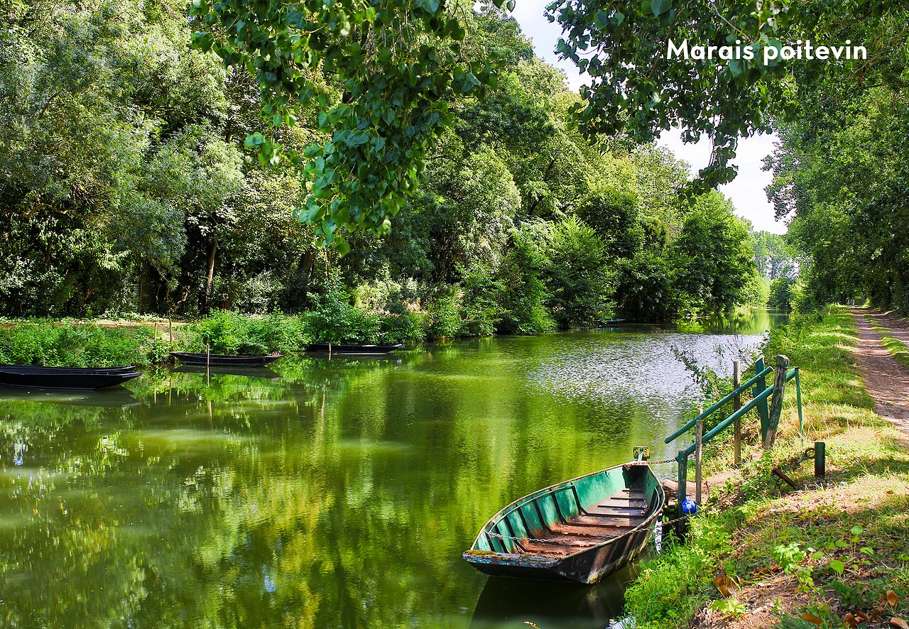 Barques traditionnelles sur un canal verdoyant du Marais Poitevin, r�gion Nouvelle-Aquitaine.