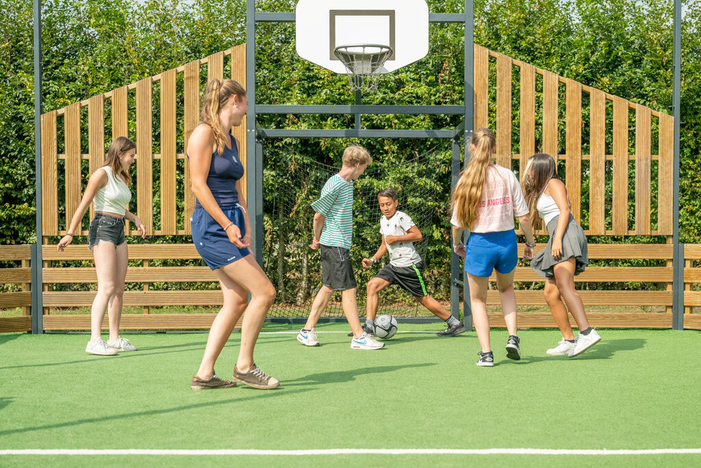De Fruithof, Camping Drenthe - 12