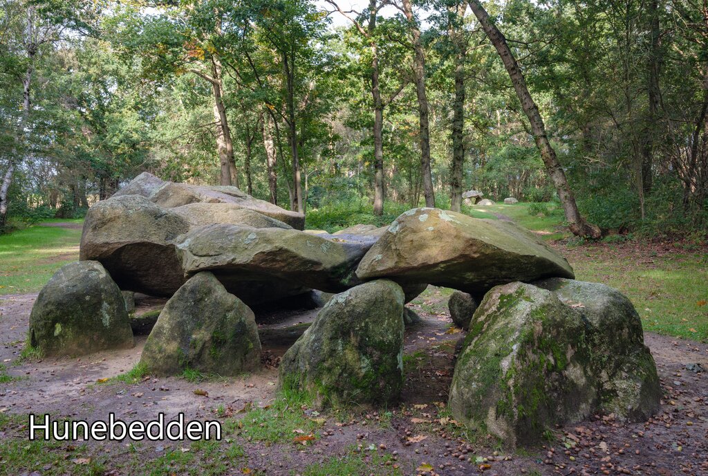 De Fruithof, Camping Drenthe - 19