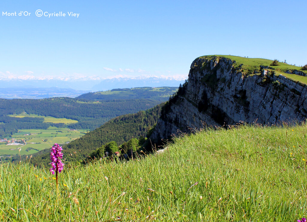 Fuvettes, Camping Franche Comté - 24