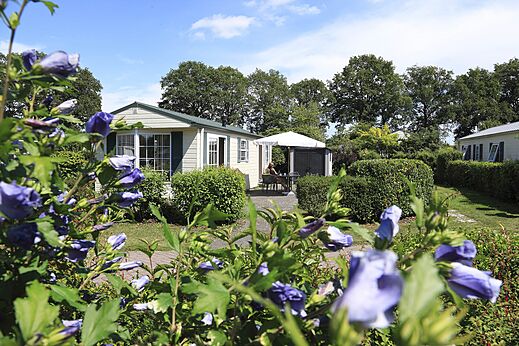 Mobil-home avec terrasse ombragée et végétation luxuriante au camping CAPFUN Heino à Heino