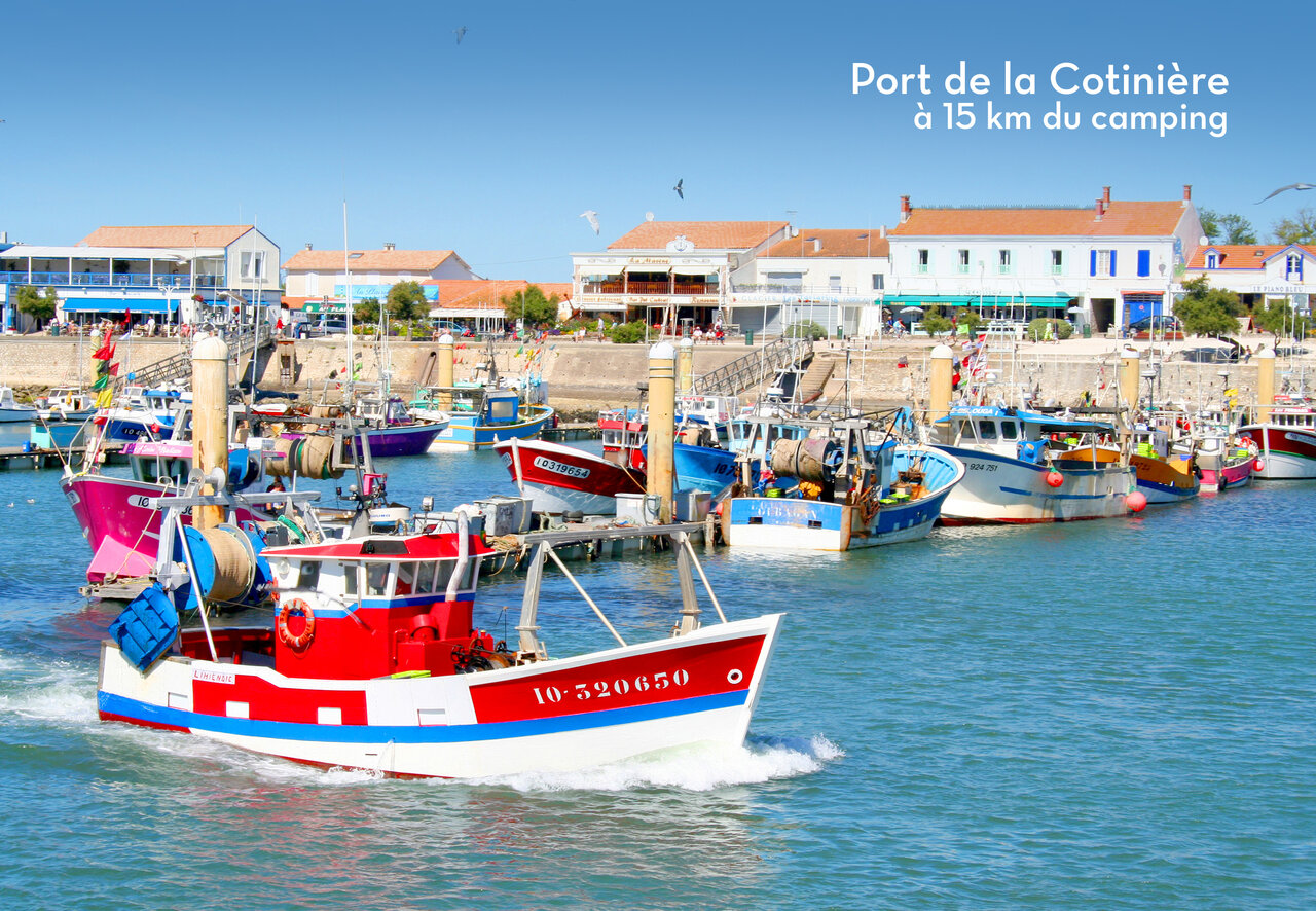 Port de p�che de La Cotini�re, un lieu anim� � visiter pr�s du camping.