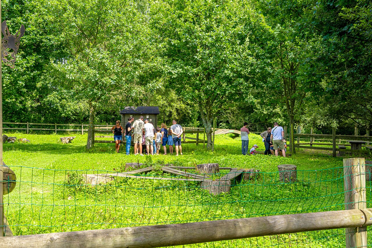 Animation nature au camping VAGUES OCEANES Les Iles � Hudimesnil (50).