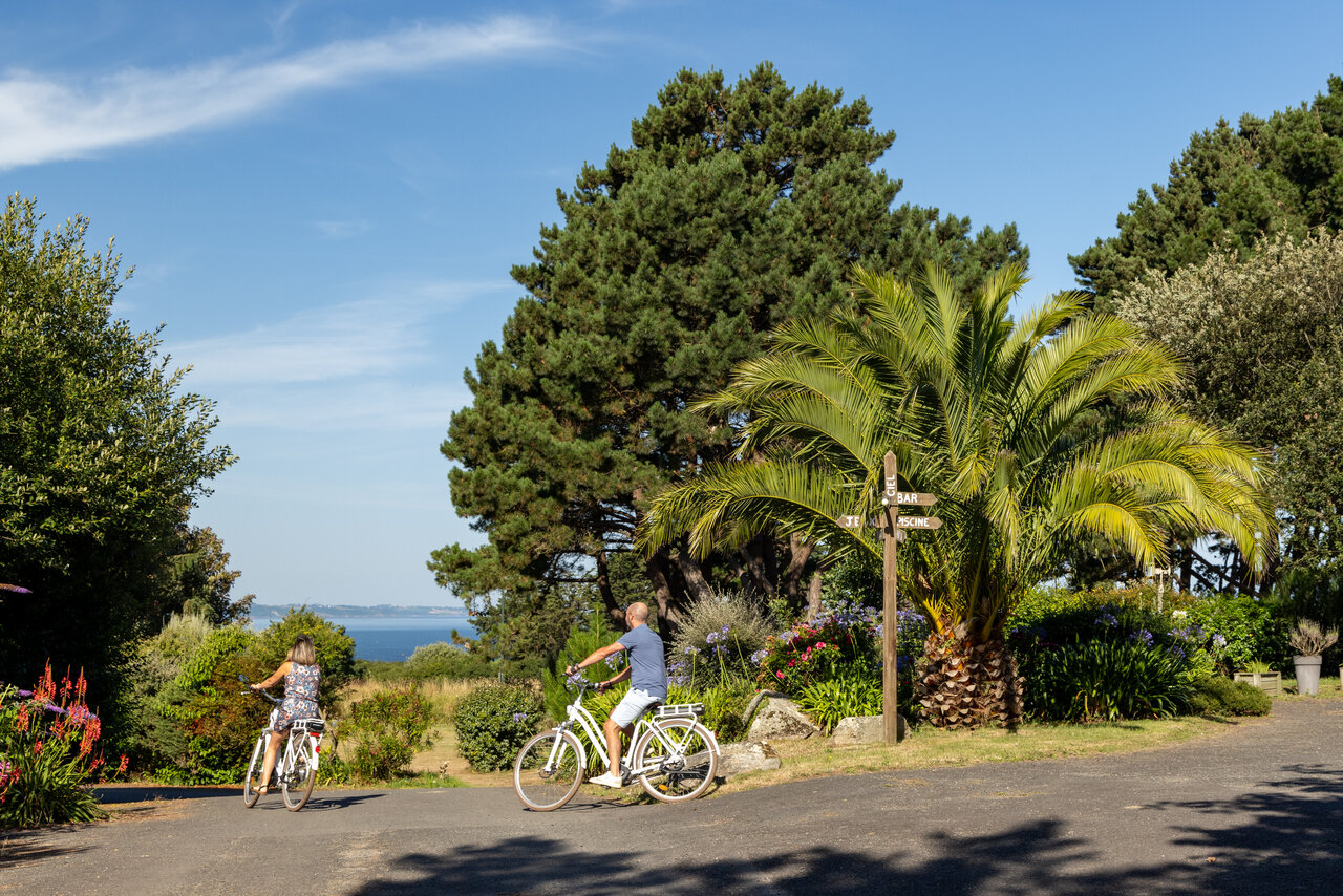 Cyclistes sur chemin verdoyant, vue mer, camping CLICOCHIC � Lannion (22).