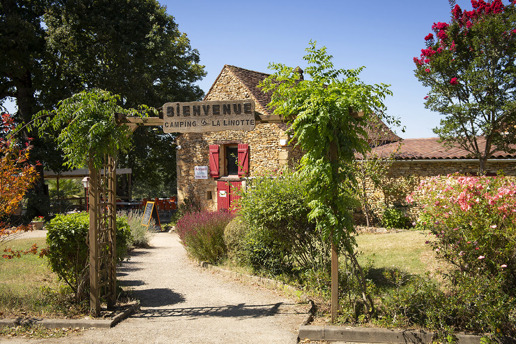 Linotte, Camping Aquitaine - 6