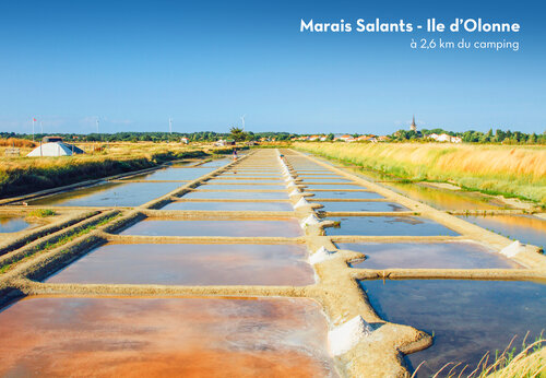 Marais Salants de l'Ile d'Olonne, lieu à visiter près des Sables d'Olonne.