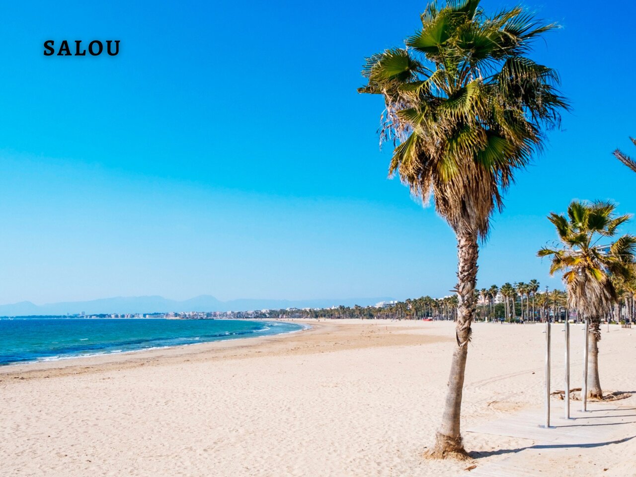 Grande plage de sable et palmiers � Salou, � visiter pr�s du camping.