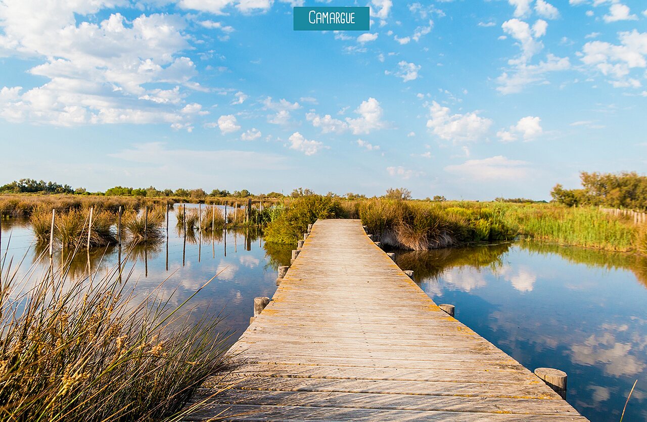 Passerelle en bois dans les marais de Camargue, lieu � visiter pr�s de Vauvert (30).