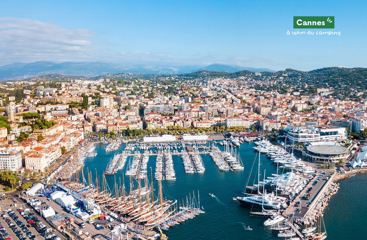 Port de Cannes et ses yachts, une ville � visiter sur la C�te d'Azur.