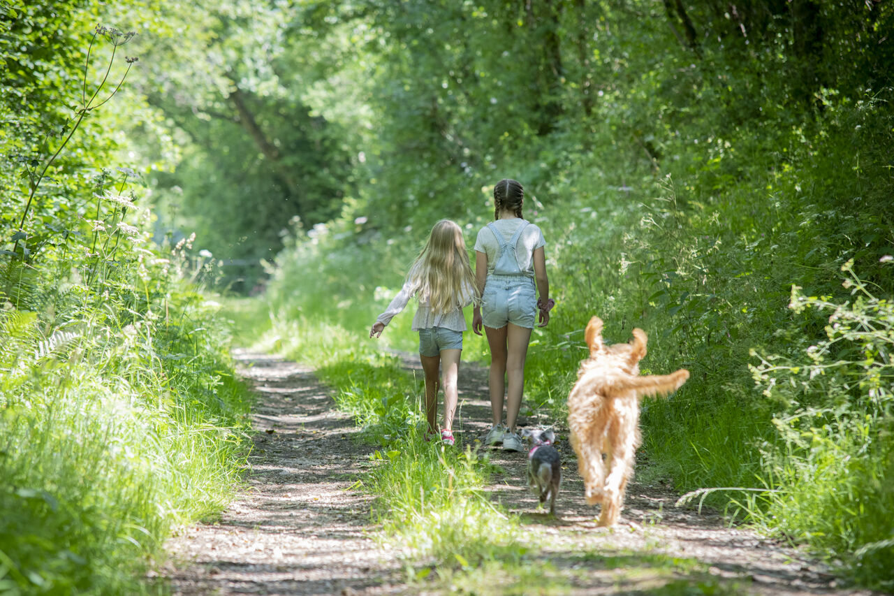 Enfants et chiens sur sentier naturel au camping CAPFUN UK Otter Falls � Upottery Nr Honiton.