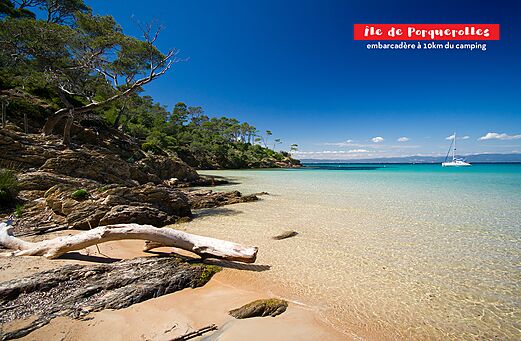 Plage paradisiaque de l'Île de Porquerolles, eaux turquoise et côte rocheuse.